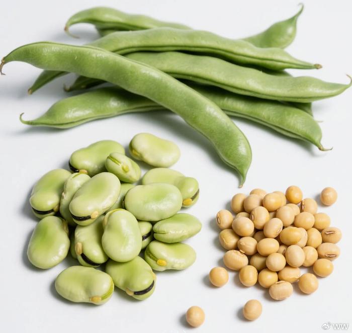 立夏前多吃這3種豆類，補蛋白強免疫，孩子老人都需要